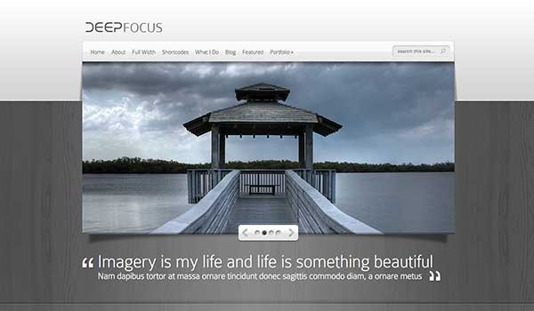 DeepFocus – Elegant Themes