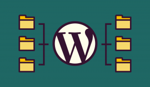 Domain Mapping