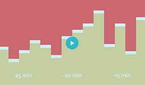 Google Analytics +