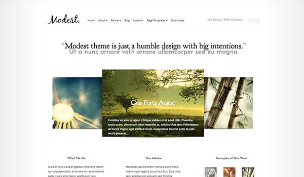 Modest – Elegant Theme
