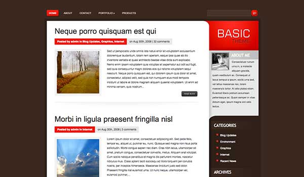 Basic Elegant Themes
