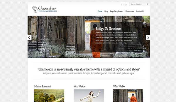 Chameleon – Elegant Theme