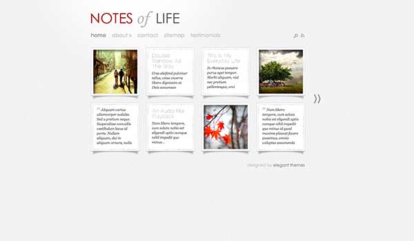 DailyNotes Elegant Themes