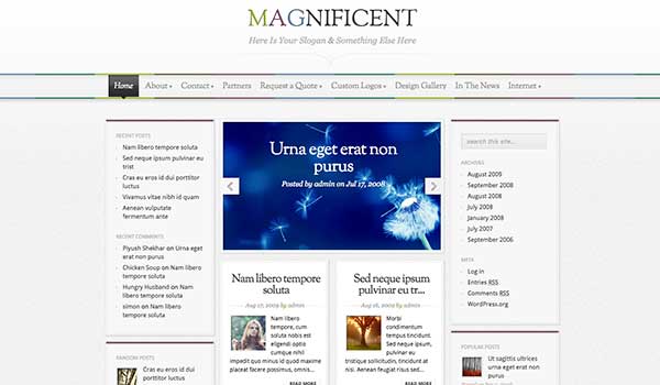 Magnificent – Elegant Theme