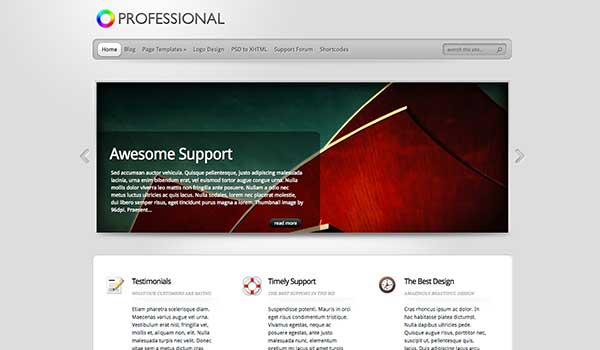 TheProfessional elegant Themes